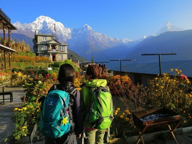       Two trekkers admiring mountain scenery with blooming flowers.
  