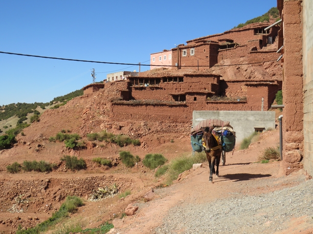 A mule walks through a red clay village with stacked earthen buildings and an arid landscape.