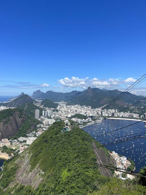 Cityscape from a high vantage point with cable cars.