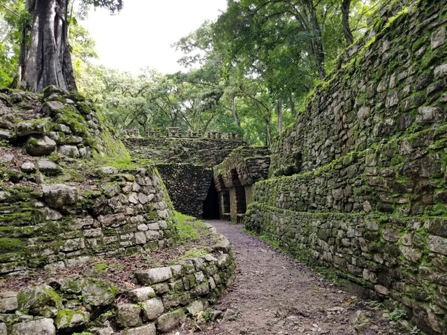       Stone ruins covered with moss in the jungle.
  