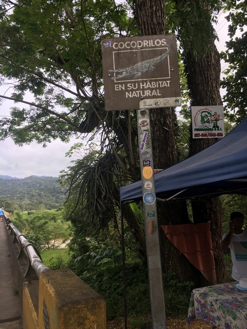 Signboard with various flyers attached near a wooded area.