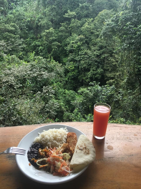 Plate of rice and juice glass with forested view.