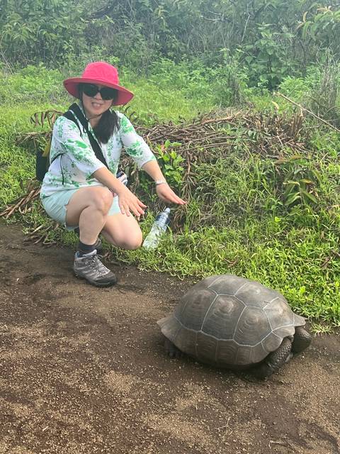       A person interacting with a giant tortoise in a natural setting.
  