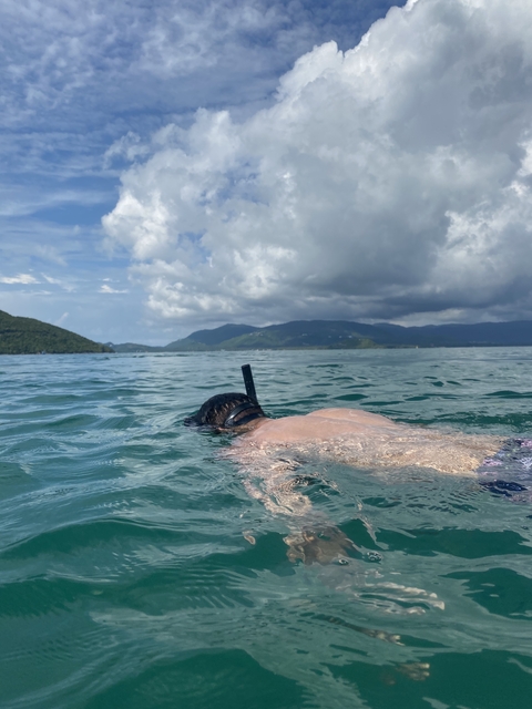       Person snorkeling in the ocean with mountains in the background.
  