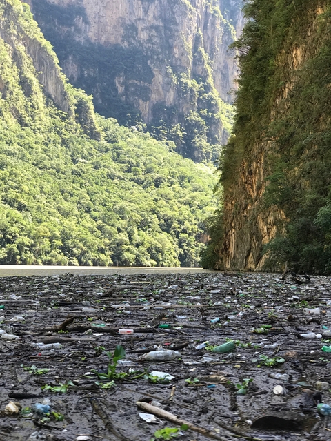 Scenic view of a river surrounded by green forests.