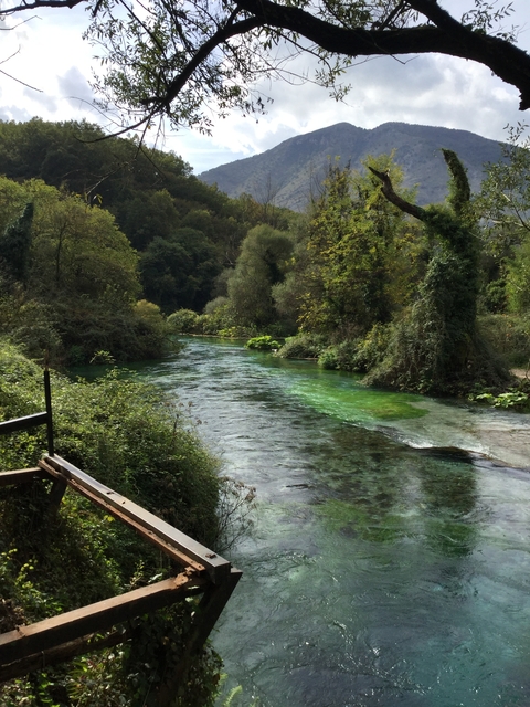 Clear water stream surrounded by lush greenery.