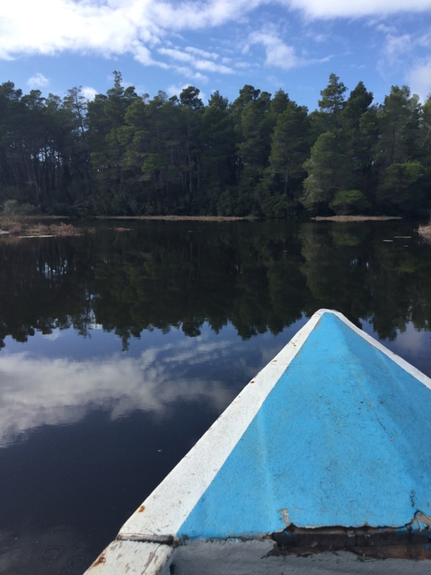       Boat bow pointing towards a calm lake with trees and sky reflection.
  