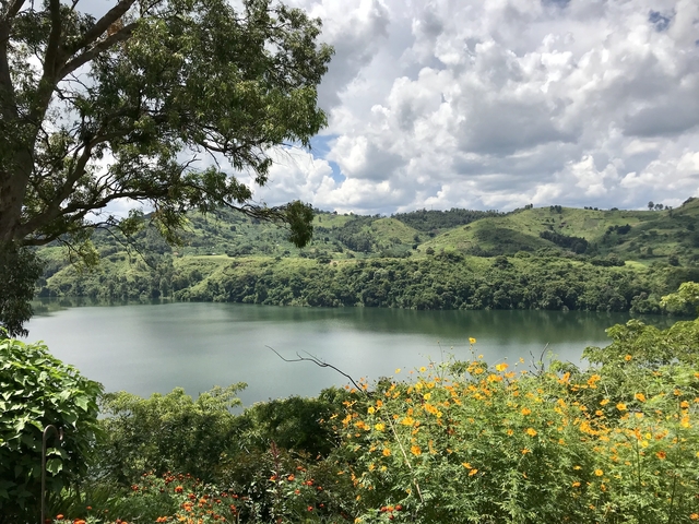       Lake with surrounding greenery and wildflowers.
  