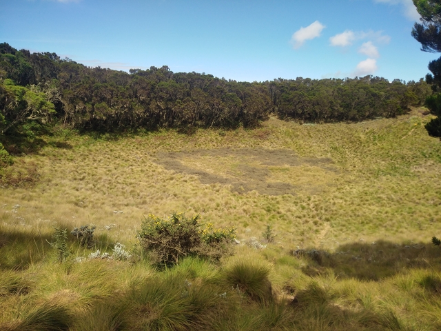       Crater rim with dense forest in the background.
  