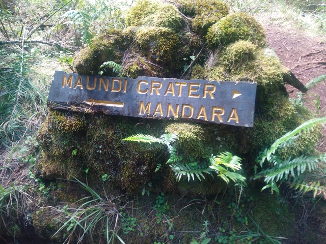       Sign pointing to Maundi Crater and Mandara with moss-covered rock.
  