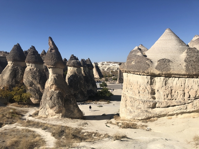       Fairy chimneys of Cappadocia under clear blue skies.
  