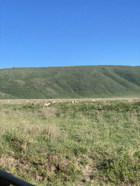 Landscape with hills and sparse vegetation.