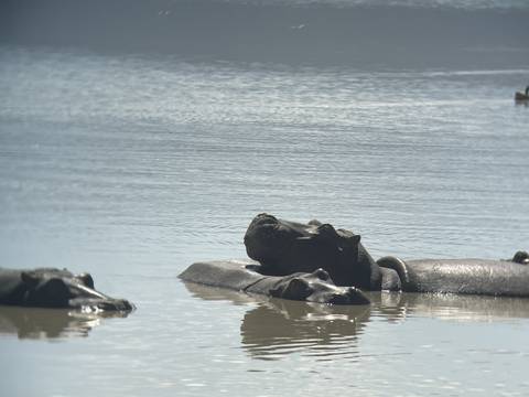 Upside-down view of wetland with water reflections.