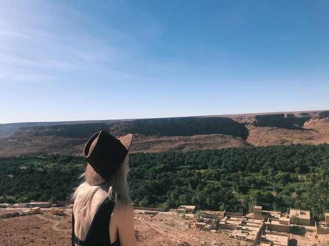       Person overlooking a lush green valley.
  