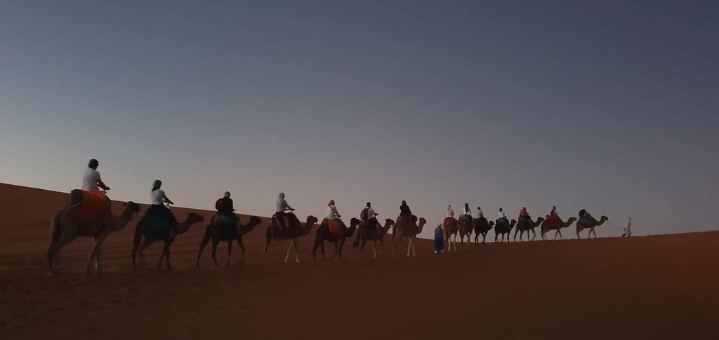       Camel caravan in the desert during sunset.
  