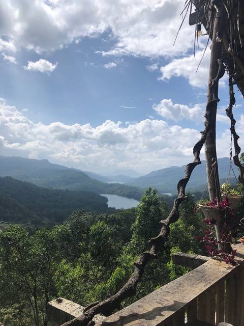 Scenic view of a river through mountains and trees.