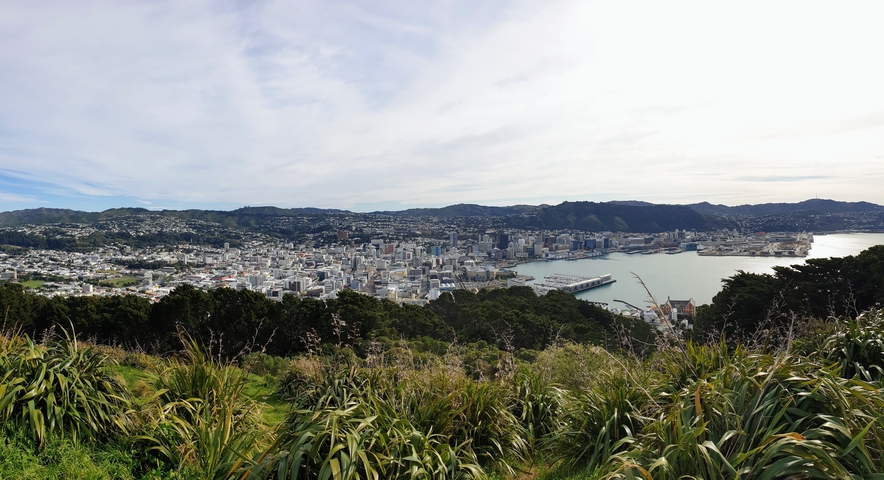 Panoramic view of a city with a harbor and hills.