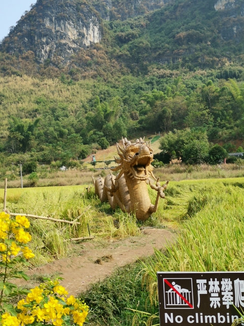       Straw dragon sculpture in a lush green field.
  