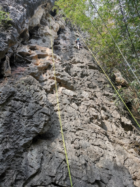 Rough rock surface with climbing ropes attached.