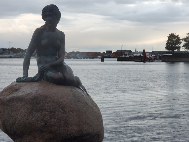       The Little Mermaid statue by the water.
  