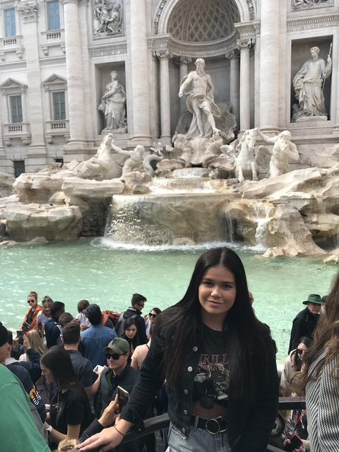       Person in front of the Trevi Fountain in Rome.
  