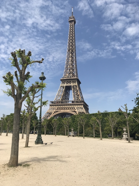       The Eiffel Tower framed by trees on a clear day.
  
