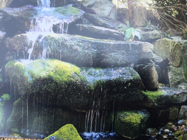 Close-up of a small waterfall over mossy rocks.