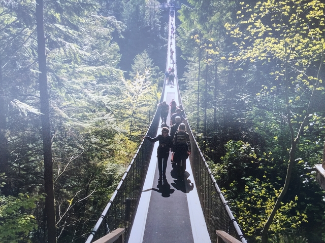 People walking on a suspension bridge in a forest.