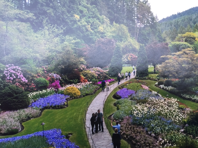Vibrant flower garden with pathways and visitors.