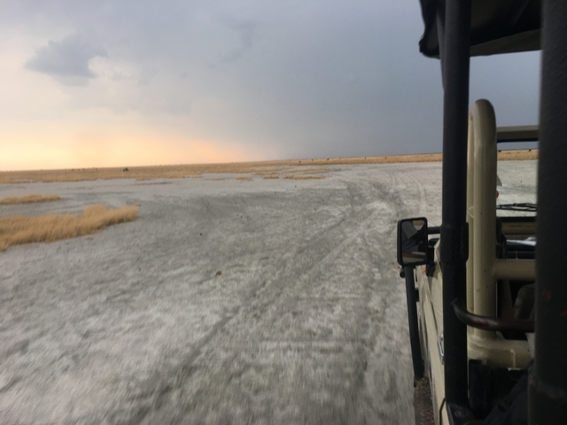 View from a safari vehicle driving over a dry plain.