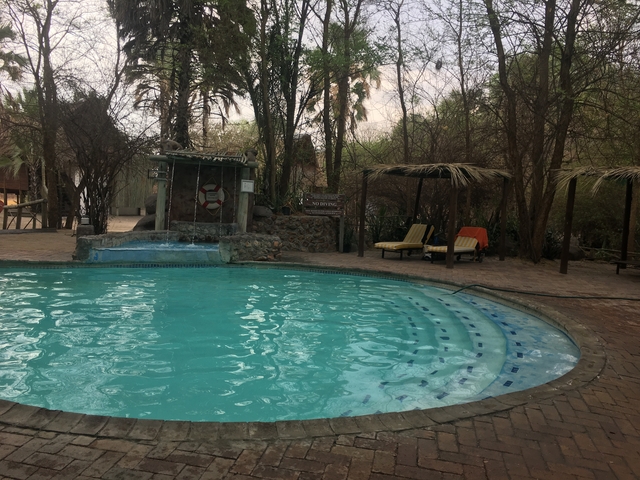 Resort pool with lounge chairs and trees.