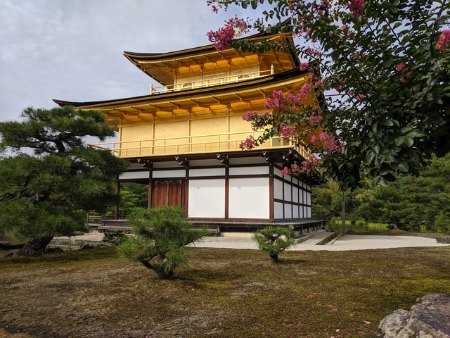       Golden pavilion surrounded by garden greenery
  