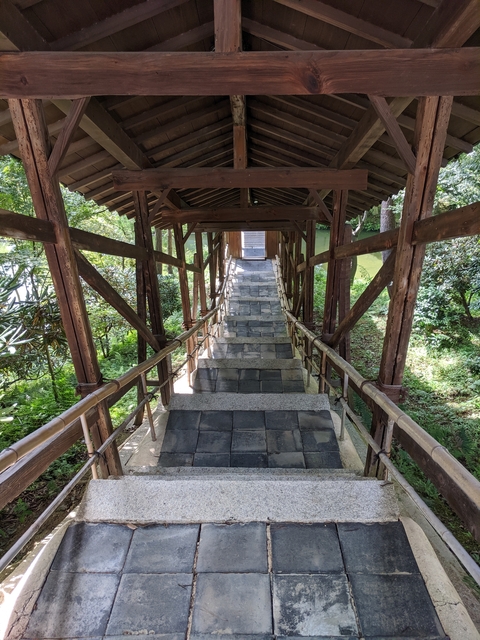       Stone steps leading through a wooden structure in a garden
  