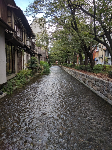       Small river flowing between buildings and trees
  