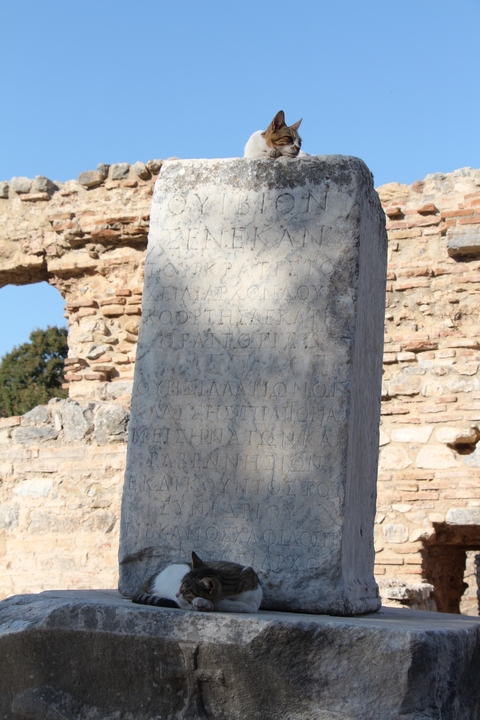 Ancient inscription on a stone artifact in a ruin setting.