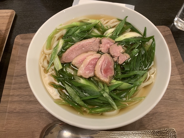 Bowl of udon noodles with duck and scallions.