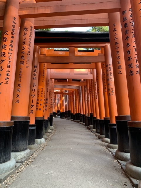 Fushimi Inari Shrine with a series of vibrant red torii gates.