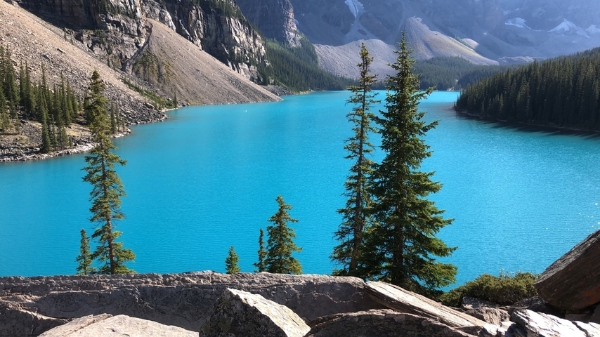 Blue lake surrounded by mountains and trees.