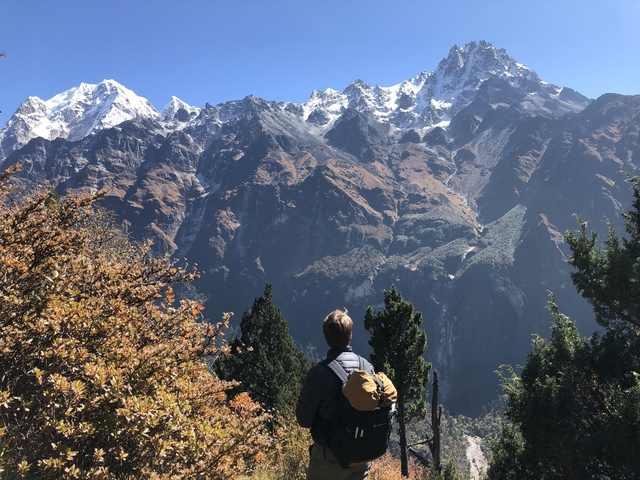 Person looking at snow-capped mountains.