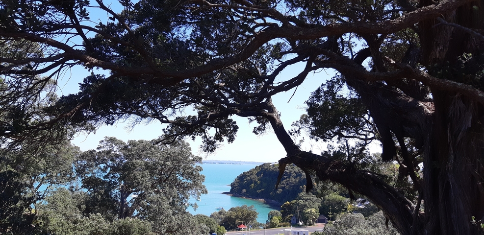 View through tree branches of a coastline with clear blue waters.