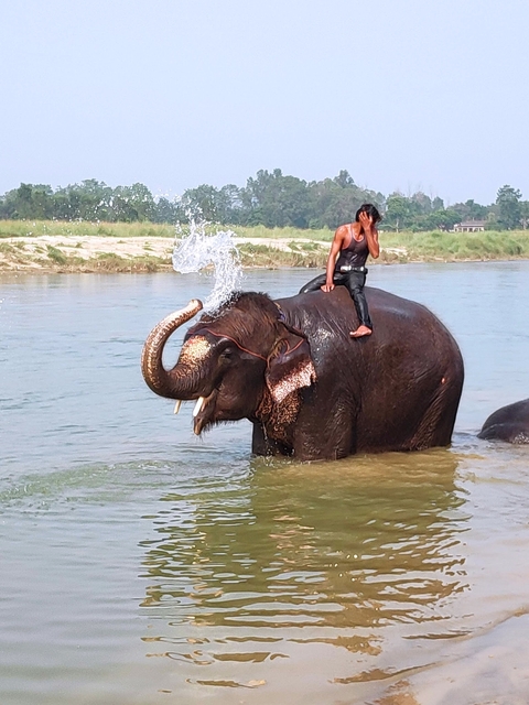       Person riding an elephant in the water, splashing water with its trunk.
  