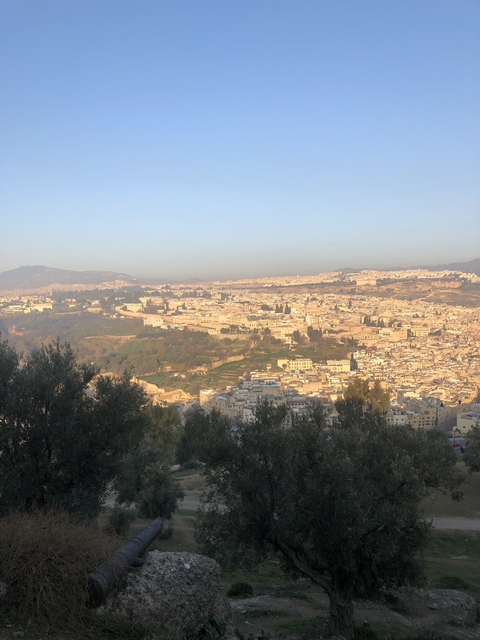       Panoramic view of a cityscape with hills in the distance.
  