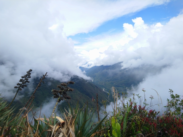 A beautiful view of mountains covered in clouds and vegetation.