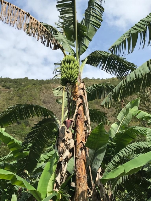       foto de reseña de cliente de Excursión a Machu Picchu por la selva inca 
  