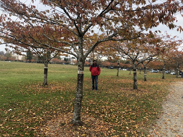A person standing among trees with autumn foliage.