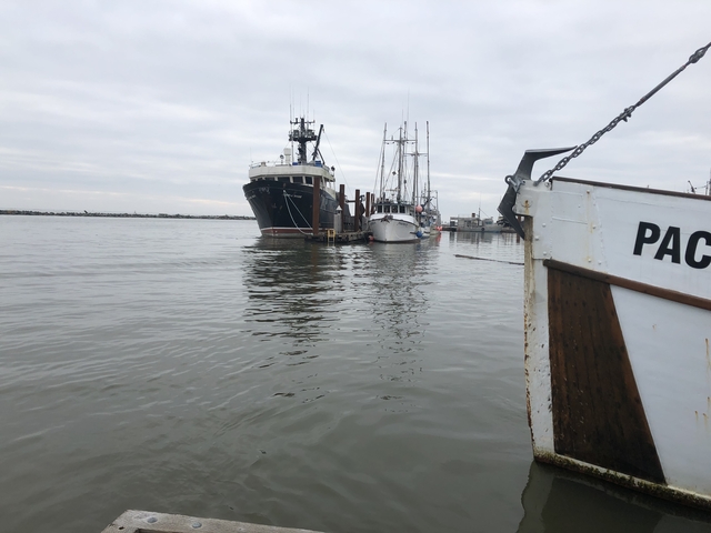 Several boats moored at a dock on a calm, cloudy day.