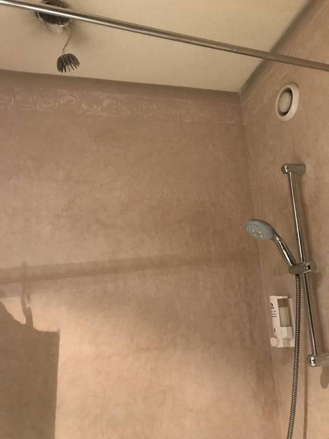       Showerhead in a bathroom.
  