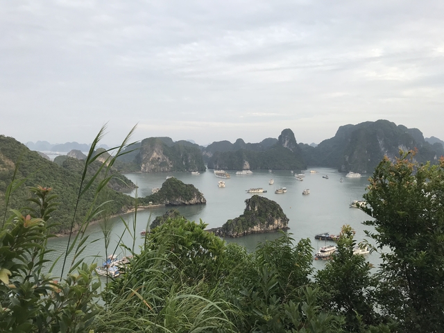 Scenic view of Halong Bay with boats and limestone islands.