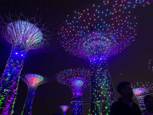 Colorful illuminated supertrees at night with a person partially visible.