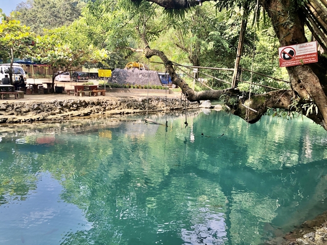       Turquoise water under a tree canopy with hanging swing.
  